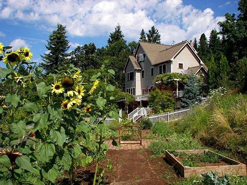 Husum Highlands Bed And Breakfast Экстерьер фото
